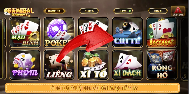 Bài Catte Là Gì? Luật Chơi Và Kinh Nghiệm Cần Biết Bài Catte Là Gì? Luật Chơi, Cách Đánh Và Mẹo Thắng Hay