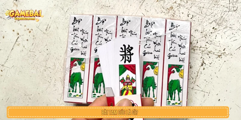 Bài Tam Cúc Là Gì? Bộ Quân, Luật Chơi Và Cách Đánh Dễ Hiểu Tìm hiểu bài Tam Cúc là gì