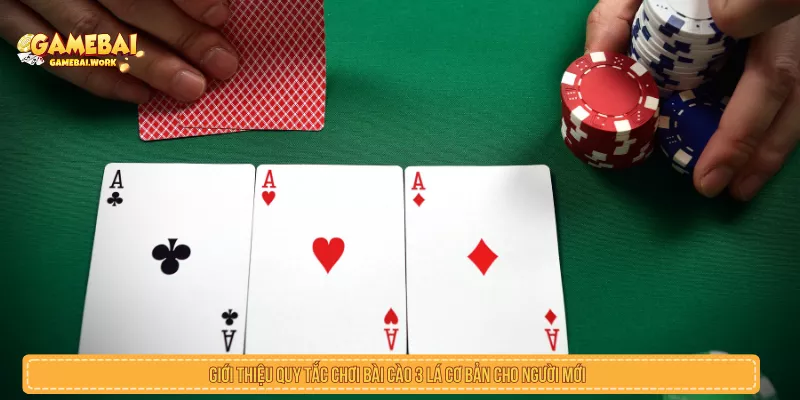 Bài Cào Là Gì? Luật Chơi 3 Lá Dễ Hiểu Cho Người Mới Quy tắc chơi bài cào 3 lá cho người mới